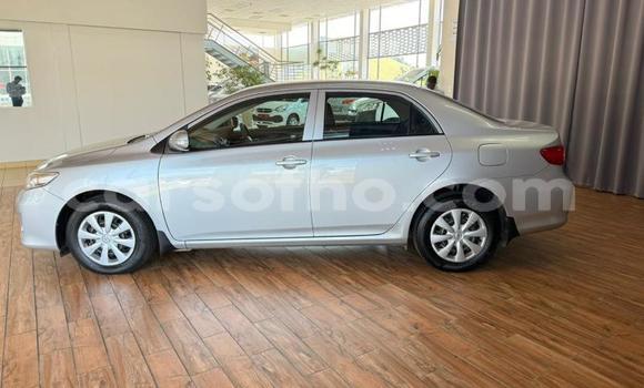 Buy Used Toyota Corolla Silver Car in Maseru in Maseru Buy Used Toyota Corolla Silver Car in Maseru in Maseru