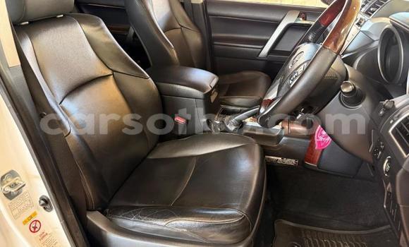 Buy Used Toyota Land Cruiser Prado White Car in Maseru in Maseru Buy Used Toyota Land Cruiser Prado White Car in Maseru in Maseru