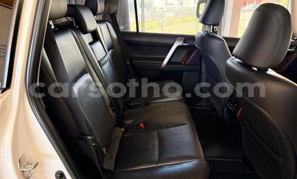 Buy Used Toyota Land Cruiser Prado White Car in Maseru in Maseru Buy Used Toyota Land Cruiser Prado White Car in Maseru in Maseru