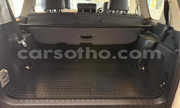 Buy Used Toyota Land Cruiser Prado White Car in Maseru in Maseru Buy Used Toyota Land Cruiser Prado White Car in Maseru in Maseru