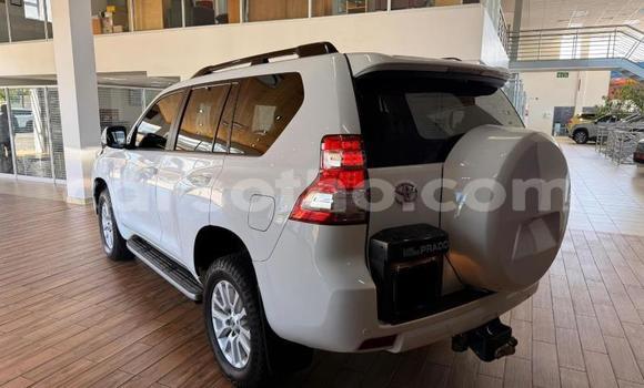 Buy Used Toyota Land Cruiser Prado White Car in Maseru in Maseru Buy Used Toyota Land Cruiser Prado White Car in Maseru in Maseru
