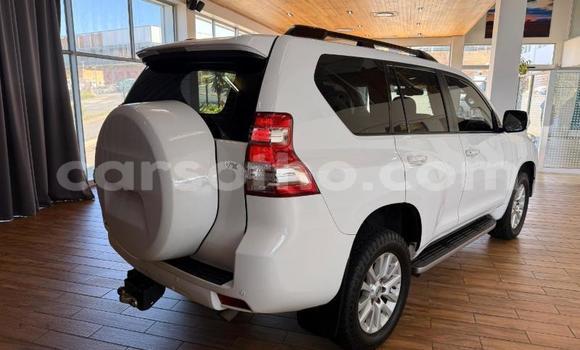 Buy Used Toyota Land Cruiser Prado White Car in Maseru in Maseru Buy Used Toyota Land Cruiser Prado White Car in Maseru in Maseru