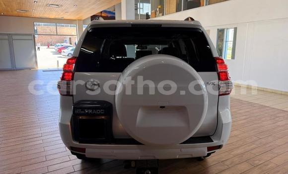 Buy Used Toyota Land Cruiser Prado White Car in Maseru in Maseru Buy Used Toyota Land Cruiser Prado White Car in Maseru in Maseru