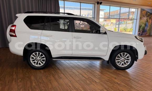 Buy Used Toyota Land Cruiser Prado White Car in Maseru in Maseru Buy Used Toyota Land Cruiser Prado White Car in Maseru in Maseru