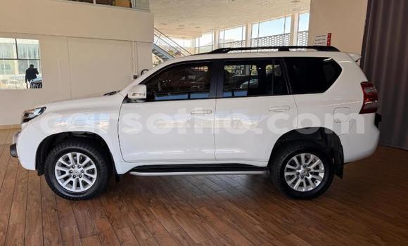 Buy Used Toyota Land Cruiser Prado White Car in Maseru in Maseru Buy Used Toyota Land Cruiser Prado White Car in Maseru in Maseru