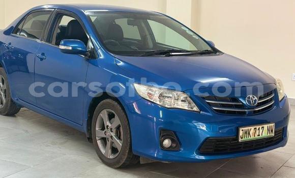 Buy Used Toyota Corolla Blue Car in Maseru in Maseru Buy Used Toyota Corolla Blue Car in Maseru in Maseru