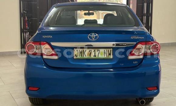 Buy Used Toyota Corolla Blue Car in Maseru in Maseru Buy Used Toyota Corolla Blue Car in Maseru in Maseru