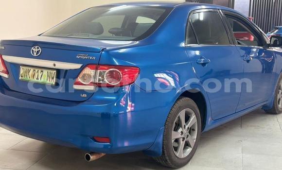Buy Used Toyota Corolla Blue Car in Maseru in Maseru Buy Used Toyota Corolla Blue Car in Maseru in Maseru