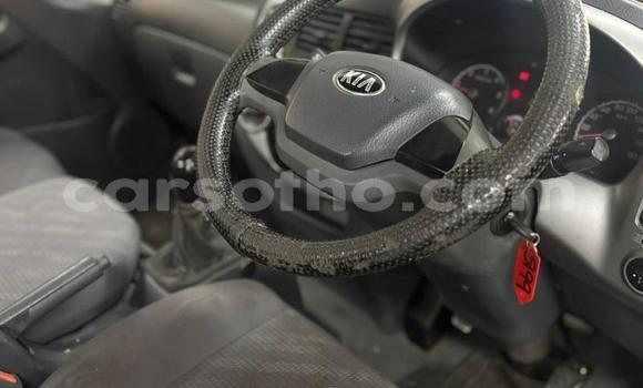 Buy Used Kia K7 White Car in Maseru in Maseru Buy Used Kia K7 White Car in Maseru in Maseru