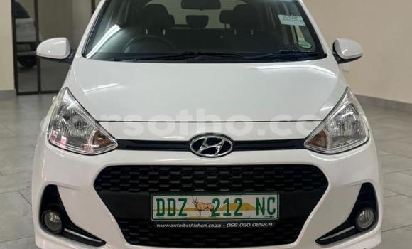 Buy Used Hyundai i10 White Car in Maseru in Maseru