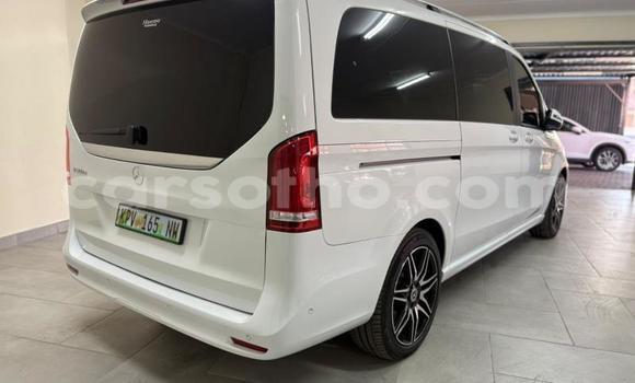 Buy Used Mercedes-Benz V-klasse White Car in Maseru in Maseru Buy Used Mercedes-Benz V-klasse White Car in Maseru in Maseru