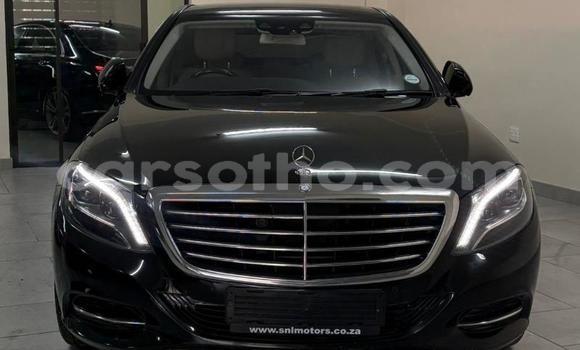 Buy Used Mercedes-Benz S–Class Black Car in Maseru in Maseru