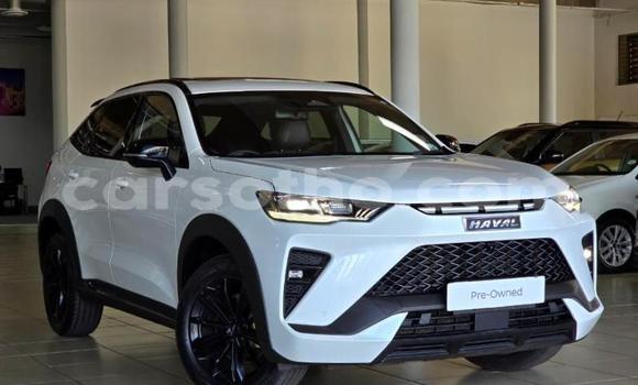 Buy Used Haval H6 White Car in Maseru in Maseru