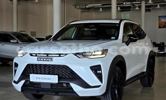 Buy Used Haval H6 White Car in Maseru in Maseru Buy Used Haval H6 White Car in Maseru in Maseru