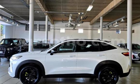Buy Used Haval H6 White Car in Maseru in Maseru Buy Used Haval H6 White Car in Maseru in Maseru