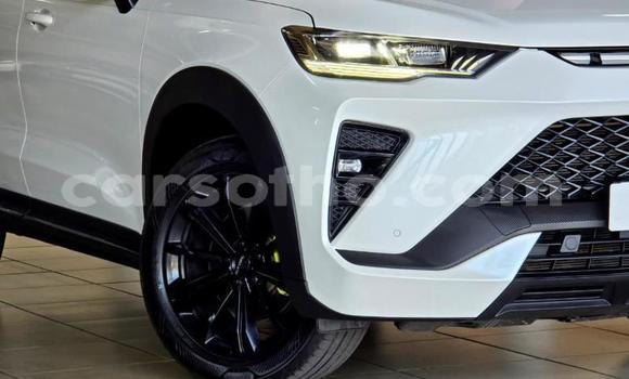 Buy Used Haval H6 White Car in Maseru in Maseru Buy Used Haval H6 White Car in Maseru in Maseru