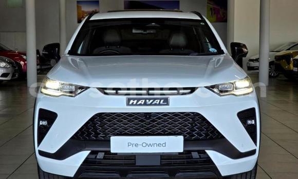 Buy Used Haval H6 White Car in Maseru in Maseru Buy Used Haval H6 White Car in Maseru in Maseru