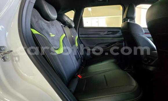 Buy Used Haval H6 White Car in Maseru in Maseru Buy Used Haval H6 White Car in Maseru in Maseru
