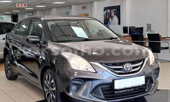 Buy Used Toyota Starlet Other Car in Maseru in Maseru