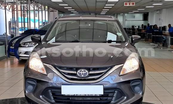 Buy Used Toyota Starlet Other Car in Maseru in Maseru Buy Used Toyota Starlet Other Car in Maseru in Maseru