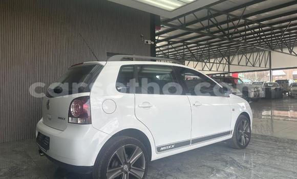 Buy Used Volkswagen Polo White Car in Maseru in Maseru Buy Used Volkswagen Polo White Car in Maseru in Maseru