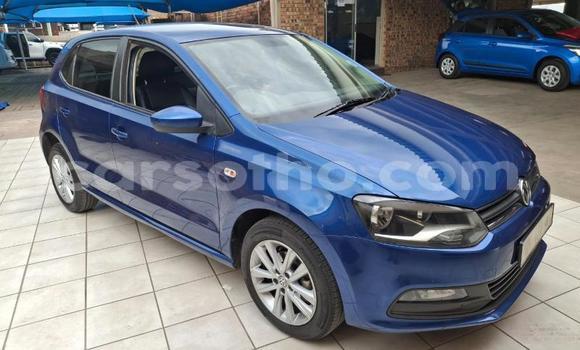 Buy Used Volkswagen Polo Blue Car in Maseru in Maseru Buy Used Volkswagen Polo Blue Car in Maseru in Maseru