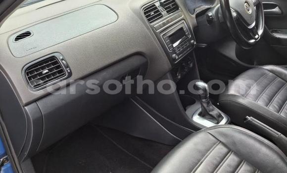 Buy Used Volkswagen Polo Blue Car in Maseru in Maseru Buy Used Volkswagen Polo Blue Car in Maseru in Maseru