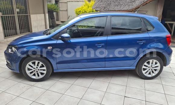 Buy Used Volkswagen Polo Blue Car in Maseru in Maseru Buy Used Volkswagen Polo Blue Car in Maseru in Maseru