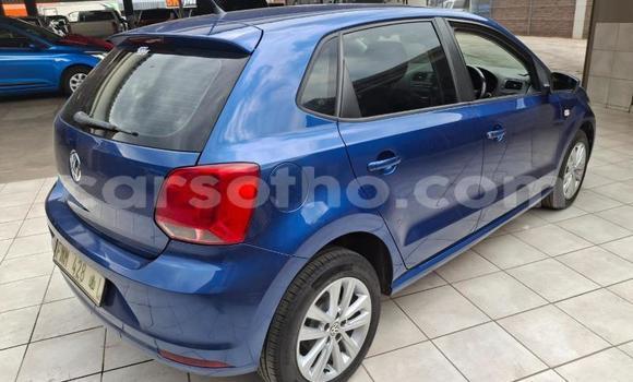 Buy Used Volkswagen Polo Blue Car in Maseru in Maseru Buy Used Volkswagen Polo Blue Car in Maseru in Maseru
