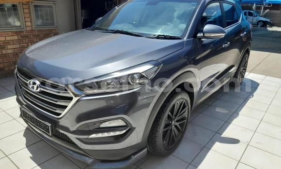 Buy Used Hyundai Tucson Other Car in Maseru in Maseru Buy Used Hyundai Tucson Other Car in Maseru in Maseru