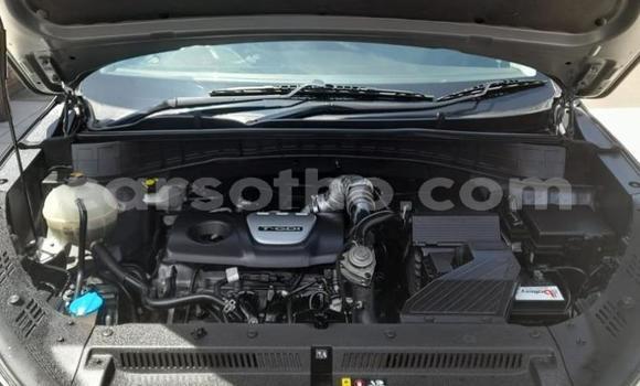 Buy Used Hyundai Tucson Other Car in Maseru in Maseru Buy Used Hyundai Tucson Other Car in Maseru in Maseru