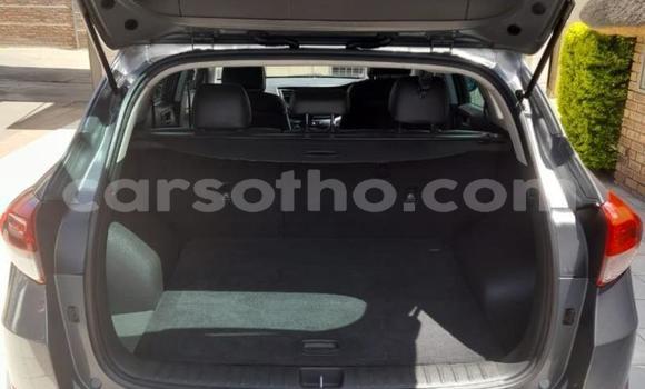 Buy Used Hyundai Tucson Other Car in Maseru in Maseru Buy Used Hyundai Tucson Other Car in Maseru in Maseru