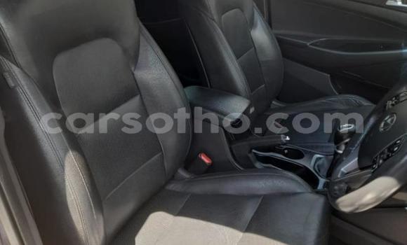 Buy Used Hyundai Tucson Other Car in Maseru in Maseru Buy Used Hyundai Tucson Other Car in Maseru in Maseru