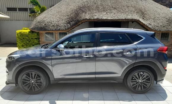 Buy Used Hyundai Tucson Other Car in Maseru in Maseru Buy Used Hyundai Tucson Other Car in Maseru in Maseru