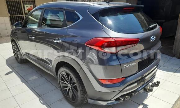 Buy Used Hyundai Tucson Other Car in Maseru in Maseru Buy Used Hyundai Tucson Other Car in Maseru in Maseru