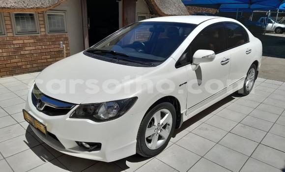 Buy Used Honda Civic White Car in Maseru in Maseru