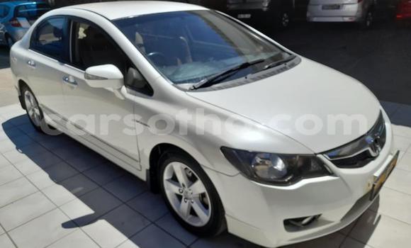 Buy Used Honda Civic White Car in Maseru in Maseru Buy Used Honda Civic White Car in Maseru in Maseru