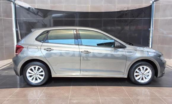 Buy Used Volkswagen Polo Silver Car in Maseru in Maseru Buy Used Volkswagen Polo Silver Car in Maseru in Maseru