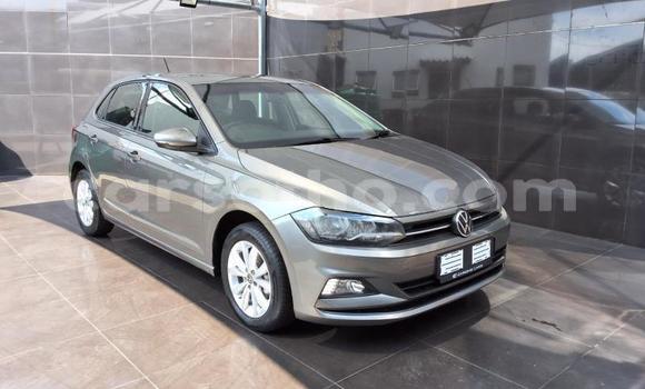 Buy Used Volkswagen Polo Silver Car in Maseru in Maseru Buy Used Volkswagen Polo Silver Car in Maseru in Maseru