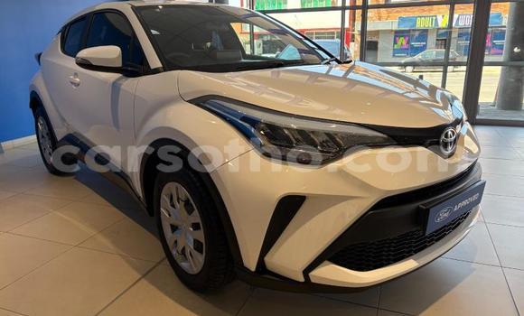 Buy Used Toyota C-HR White Car in Maseru in Maseru