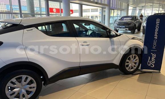 Buy Used Toyota C-HR White Car in Maseru in Maseru Buy Used Toyota C-HR White Car in Maseru in Maseru
