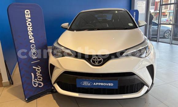 Buy Used Toyota C-HR White Car in Maseru in Maseru Buy Used Toyota C-HR White Car in Maseru in Maseru