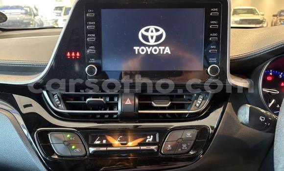 Buy Used Toyota C-HR White Car in Maseru in Maseru Buy Used Toyota C-HR White Car in Maseru in Maseru