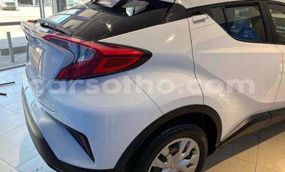 Buy Used Toyota C-HR White Car in Maseru in Maseru Buy Used Toyota C-HR White Car in Maseru in Maseru