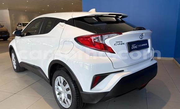 Buy Used Toyota C-HR White Car in Maseru in Maseru Buy Used Toyota C-HR White Car in Maseru in Maseru