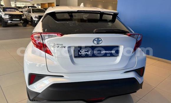 Buy Used Toyota C-HR White Car in Maseru in Maseru Buy Used Toyota C-HR White Car in Maseru in Maseru