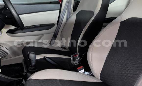 Buy Used Renault Caravelle Red Car in Qacha's Nek in Quthing Buy Used Renault Caravelle Red Car in Qacha's Nek in Quthing