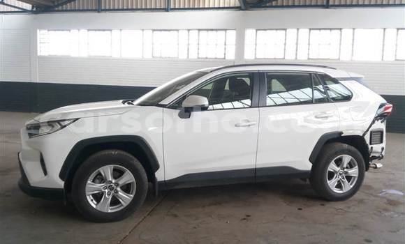 Buy Used Toyota RAV4 White Car in Maseru in Maseru