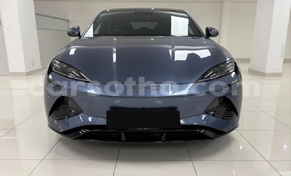 Buy Used BYD Seal Blue Car in Roma in Maseru Buy Used BYD Seal Blue Car in Roma in Maseru