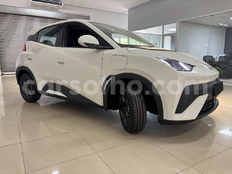 Big with watermark byd dolphin maseru roma 31867